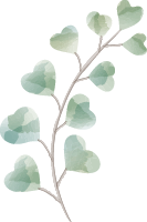 Kladi