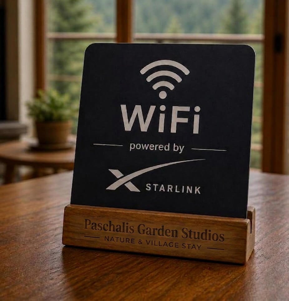 fast internet with starlink